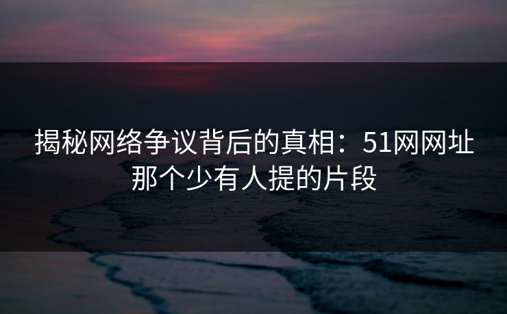 揭秘网络争议背后的真相：51网网址那个少有人提的片段